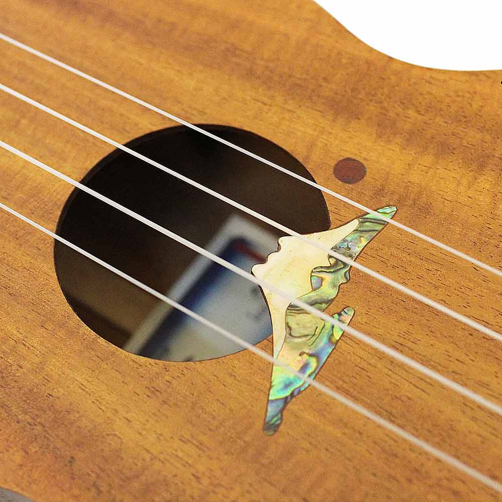 อูคูเลเล่ ยี่ห้อ โคยาม่า, Koyama Ukulele Fuji-CCE