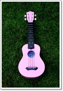 Ukulele Century(ยูกูเลเล่,อูคูเลเล่)