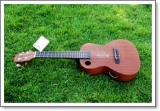 Ukulele Riptide (ยูกูเลเล่,อูคูเลเล่) UC-5NS