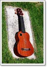 Ukulele Riptide (ยูกูเลเล่,อูคูเลเล่) UC-5NS