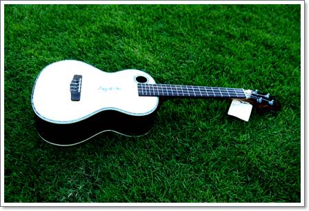 Ukulele Riptide (ยูกูเลเล่,อูคูเลเล่) UC-2N