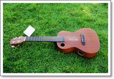 Ukulele Riptide (ยูกูเลเล่,อูคูเลเล่) US-5NS