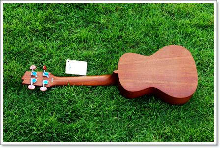 Ukulele Riptide (ยูกูเลเล่,อูคูเลเล่) UT-5NS